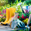 Set Of Tools For Gardener And Flowerpots In Garden