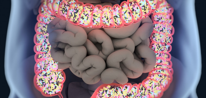 ilustration of intestines showing bacterium