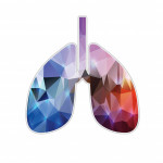 illustration of lungs