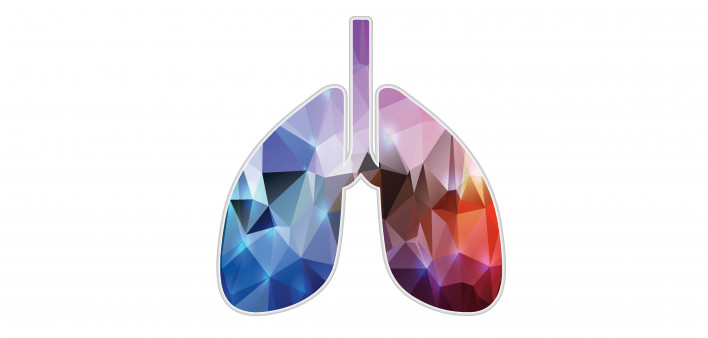 illustration of lungs