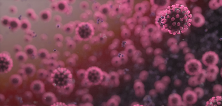 Corona Virus