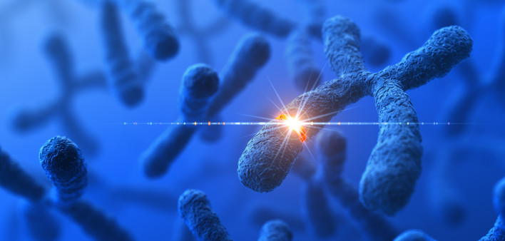 Genetic Modification DNA Genes