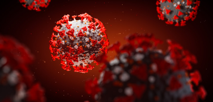 Corona Virus