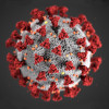SARS-CoV-2 CDC