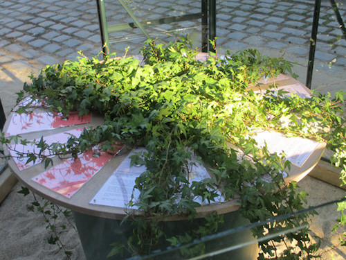 “Parla Memento Hedera”