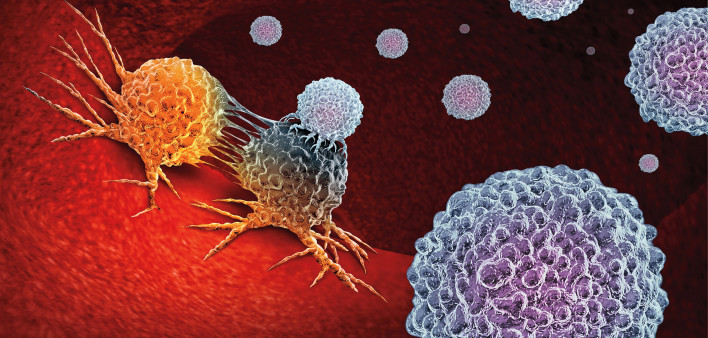 Cancer Immunotherapy as a human immune system therapy concept as a biomedical or biomedicine oncology treatment using the natural T cell fighting properties of the body as a 3D render.