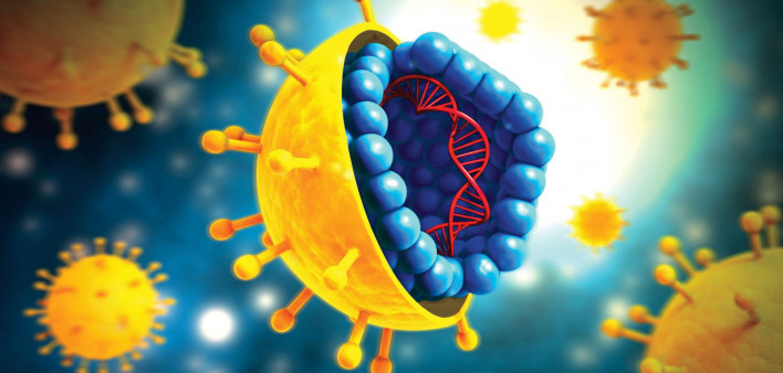 HCV Virus