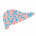 illustration of pills in shape of liver