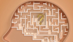 an illutration of a head with a maze for a brain with a question mark in the center