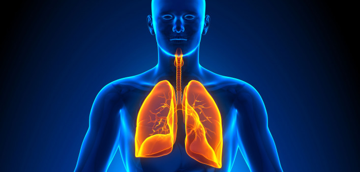 illustration lungs male figure