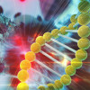 Cancer treatment