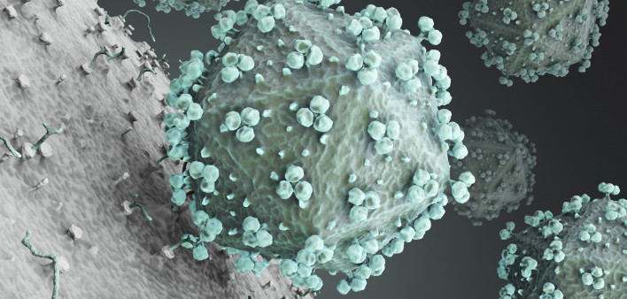 hiv virus