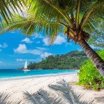 Sandy beach with palm trees and a sailing boat in the turquoise sea on Paradise island.