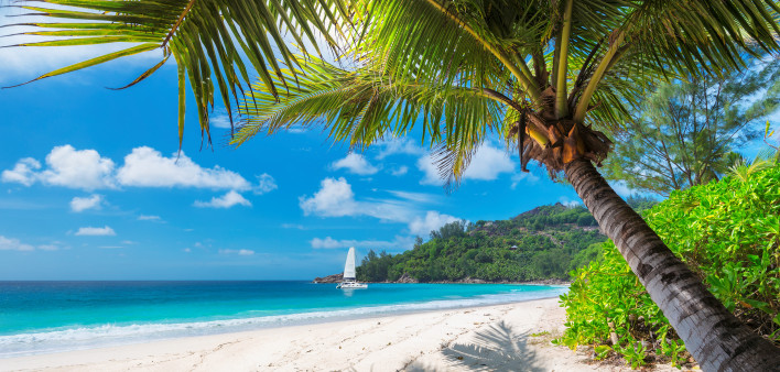 Sandy beach with palm trees and a sailing boat in the turquoise sea on Paradise island.