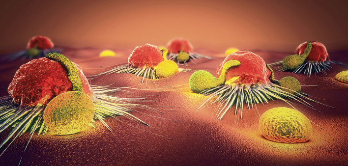 3d illustration of a cancer cell and lymphocytes