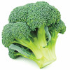 brocolli