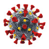 SARS-CoV-2