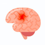 brain illustration