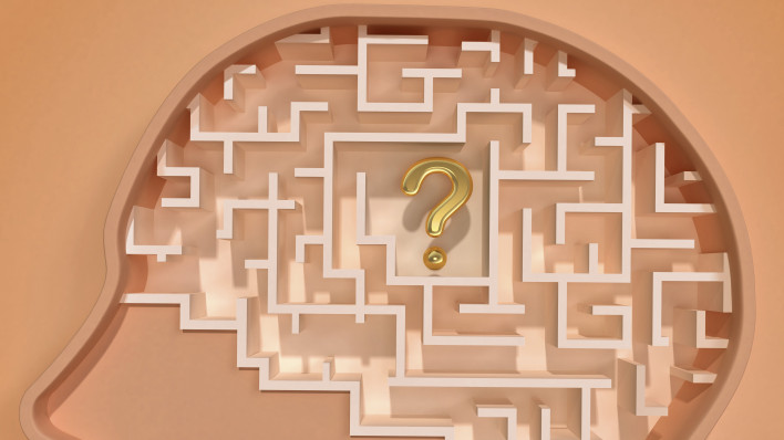 an illutration of a head with a maze for a brain with a question mark in the center