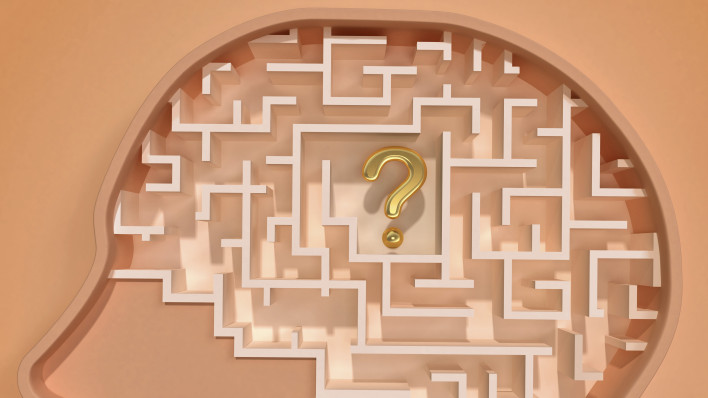 an illutration of a head with a maze for a brain with a question mark in the center