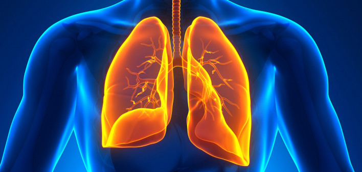 illustration lungs male figure