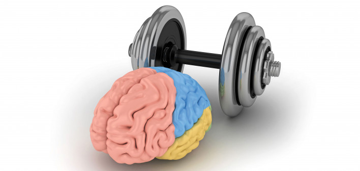 brain and dumbell