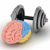 brain and dumbell