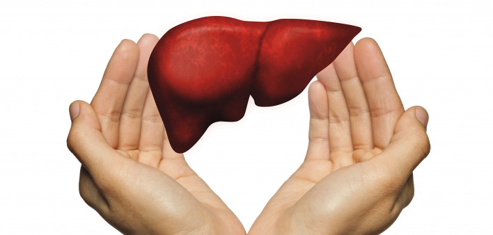hands and liver illustration