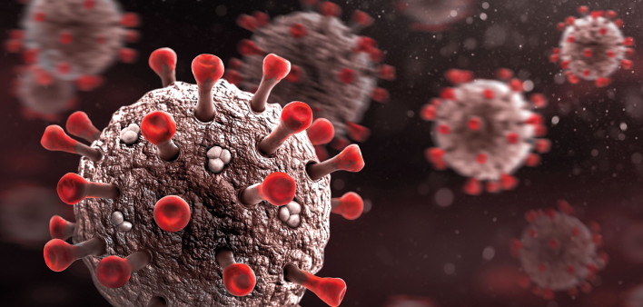 coronavirus