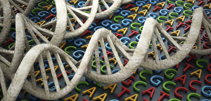 DNA an ACTG letters depicting gene sequence