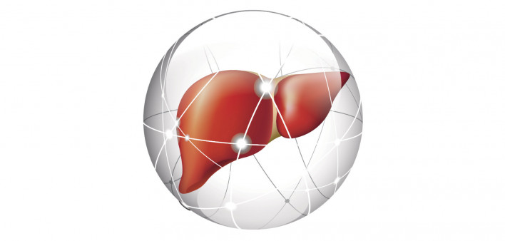 liver, liver cancer