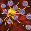 T cells attack a cancer cell