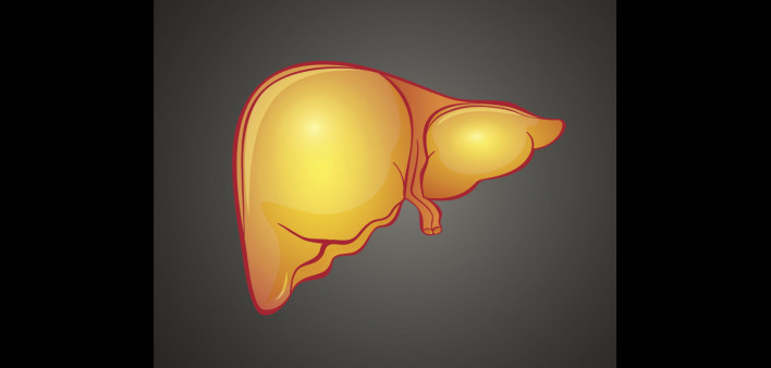 fatty liver