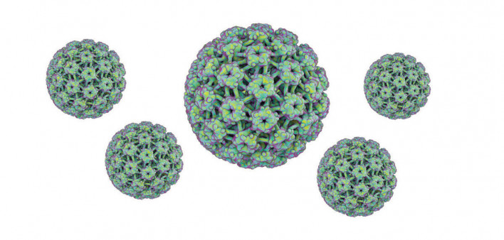 HPV Virus