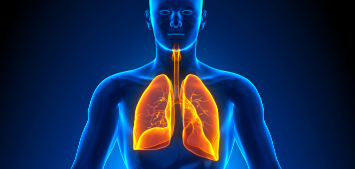 illustration lungs male figure