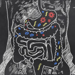 gut-bacteria
