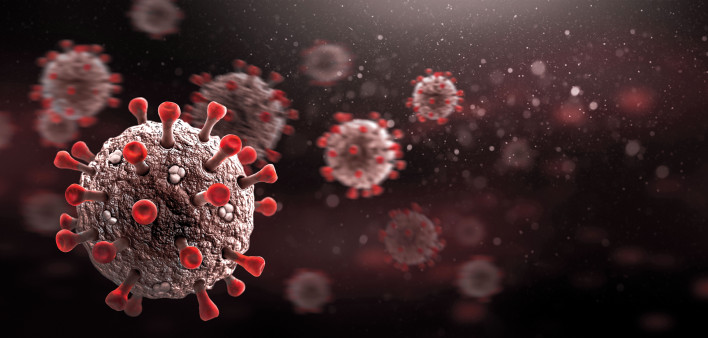 coronavirus