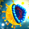 Hepatitis C virus