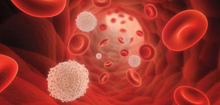 illustrarion of blood cells