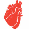 illustration of heart