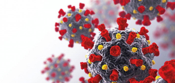 coronavirus