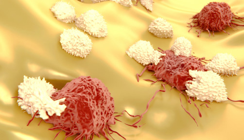 Lymphocytes attacking cancer cells 
