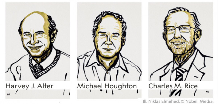 Nobel hepatitis C